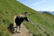 23 Piacevoli incontri